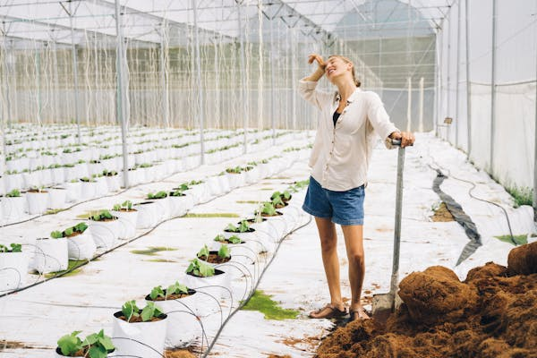 TheChicblend | The Ultimate Guide to Greenhouse Heaters: Electric, Propane, Solar, and Top Picks for Every Gardener TheChicblend | The Ultimate Guide to Greenhouse Heaters: Electric, Propane, Solar, and Top Picks for Every Gardener