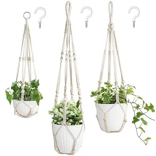 Plant Hangers Indoor