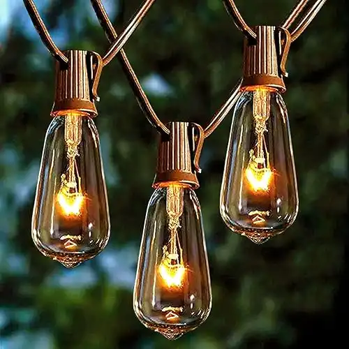 Edison Bulbs