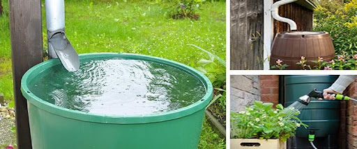 TheChicblend | 10 Homesteading Skills ANYONE Can Learn: A Beginner’s Guide to Self-Sufficiency TheChicblend | 10 Homesteading Skills ANYONE Can Learn: A Beginner’s Guide to Self-Sufficiency