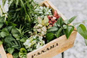 TheChicblend|Top 10 Raised Planter Boxes for Urban Gardens