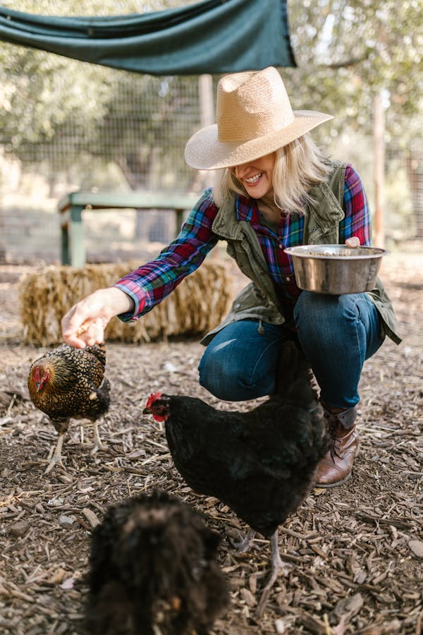 TheChicblend | How to Turn Your Home into a Self-Sufficient Homestead (Even on a Small Budget!) TheChicblend | How to Turn Your Home into a Self-Sufficient Homestead (Even on a Small Budget!)