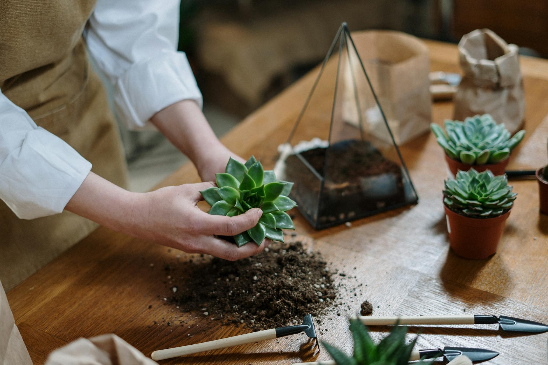 TheChicblend | 10 Unique DIY Spring Planter Ideas You Haven't Tried Yet